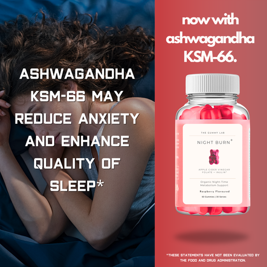 Night Burn Gummies with KSM-66 - Organic Night Time Weight Management