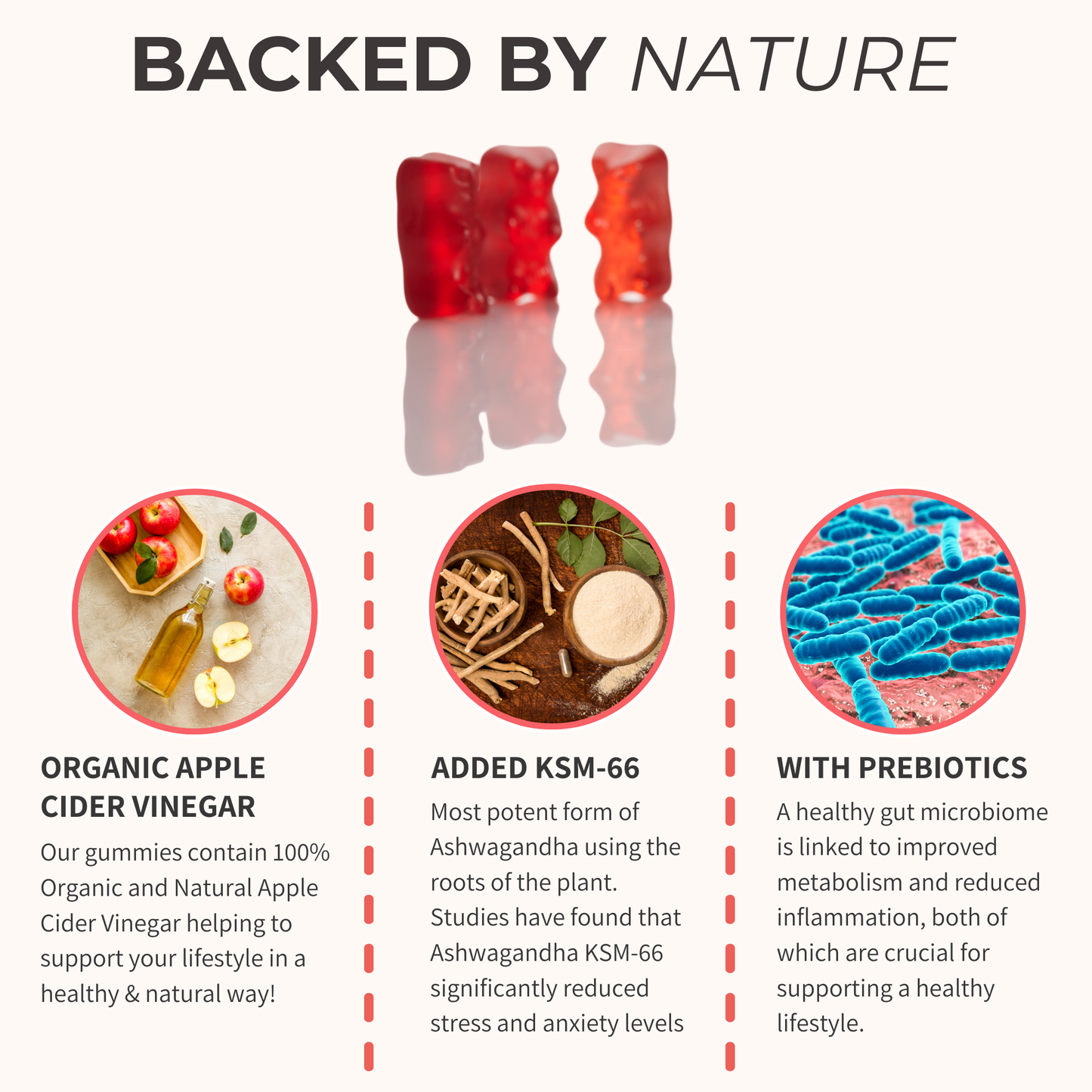 Night Burn Gummies with KSM-66 - Organic Night Time Weight Management