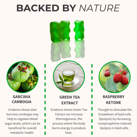 Keto+ Gummies with Green Tea Extract - Apple Flavor