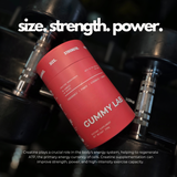 Creatine Monohydrate Gummies 5G Strawberry 90 Individually Wrapped Pieces