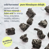 Shilajit Gold Gummies with Ashwagandha, Gokshura & more