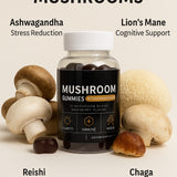 10 in 1 Mushroom Blend Gummies with Reishi, Lion's Mane & Chaga
