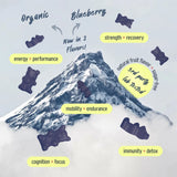 Shilajit Gold Gummies with Ashwagandha, Gokshura & more