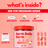 Burn Baby Burn – Daytime Vegan Gummies with ACV, L-Carnitine & Green Tea | Strawberry Sunrise | 90 Gummies (30 Servings)