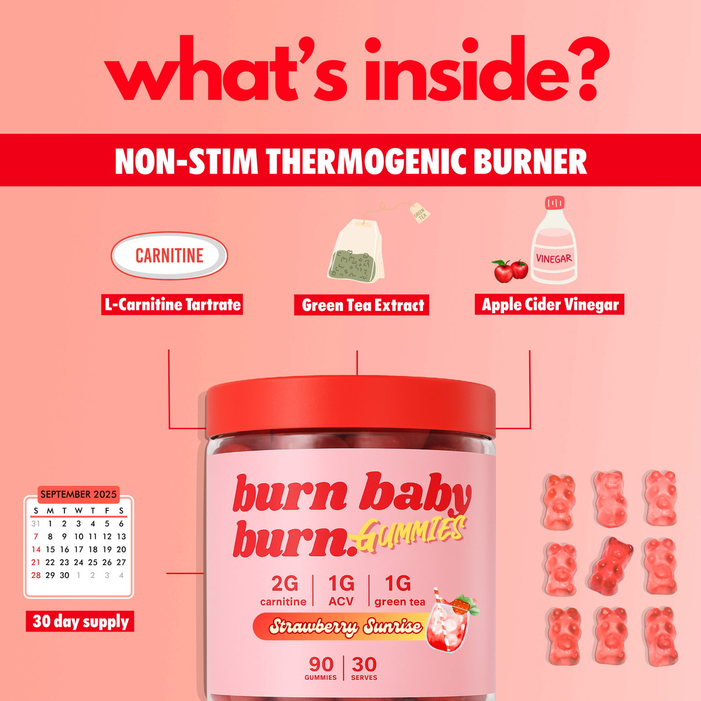 Burn Baby Burn – Daytime Vegan Gummies with ACV, L-Carnitine & Green Tea | Strawberry Sunrise | 90 Gummies (30 Servings)